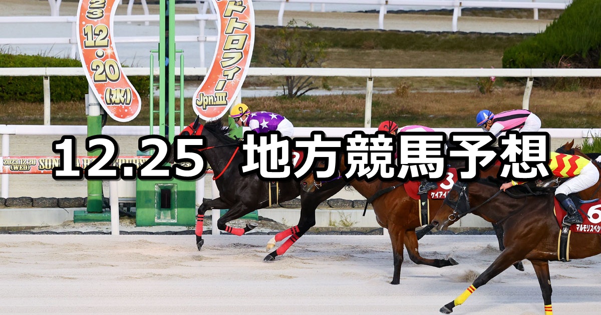 【兵庫ゴールドトロフィー/浦和ジュニアチャンピオン】2024/12/25(水)地方競馬 穴馬予想（園田/浦和競馬）