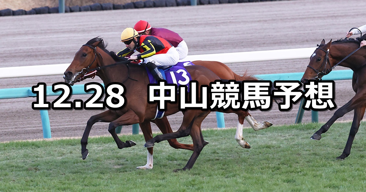 【ホープフルステークス】2024/12/28(土) 中央競馬 穴馬予想（中山競馬）