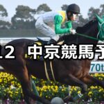 【淀短距離ステークス】2025/1/12(日) 中央競馬 穴馬予想（中京競馬）
