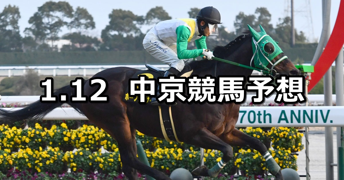 【淀短距離ステークス】2025/1/12(日) 中央競馬 穴馬予想（中京競馬）