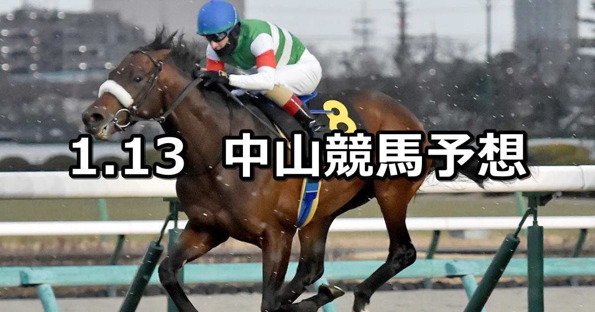 【ニューイヤーステークス】2025/1/13(月) 中央競馬 穴馬予想（中山競馬）