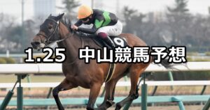 【初富士ステークス】2025/1/25(土) 中央競馬 穴馬予想(中山競馬)