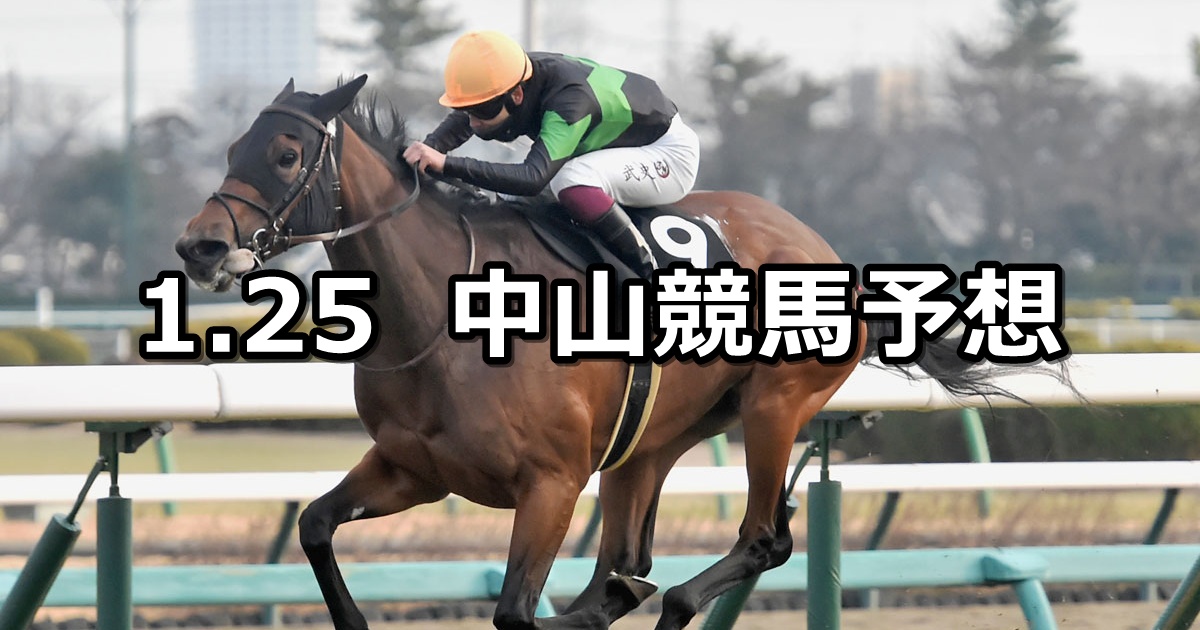 【初富士ステークス】2025/1/25(土) 中央競馬 穴馬予想（中山競馬）