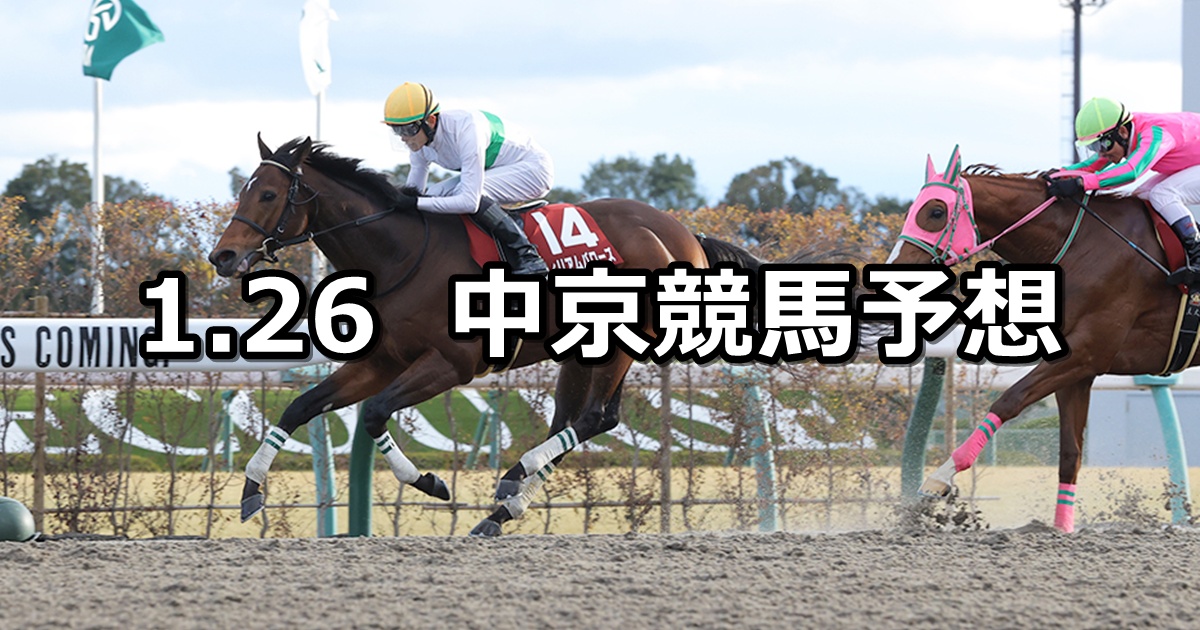 【プロキオンステークス】2025/1/26(日) 中央競馬 穴馬予想（中京競馬）