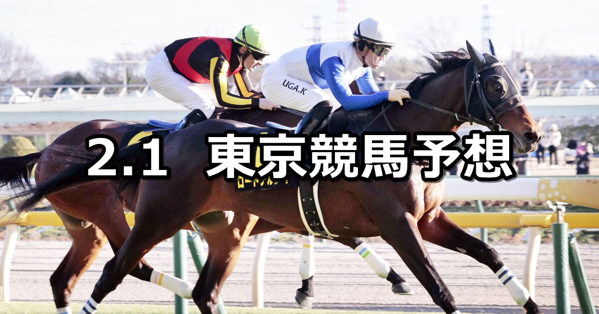 【白富士ステークス】2025/2/1(土) 中央競馬 穴馬予想（東京競馬）