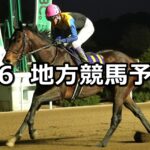 【佐賀記念/多摩川オープン】2025/2/6(木)地方競馬 穴馬予想(佐賀/川崎競馬)