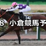 【豊前ステークス】2025/2/8(土) 中央競馬 穴馬予想(小倉競馬)