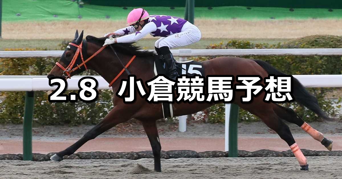 【豊前ステークス】2025/2/8(土) 中央競馬 穴馬予想（小倉競馬）