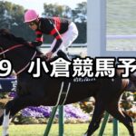【小倉日経賞】2025/2/9(日) 中央競馬 穴馬予想(小倉競馬)