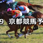 【きさらぎ賞】2025/2/9(日) 中央競馬 穴馬予想(京都競馬)