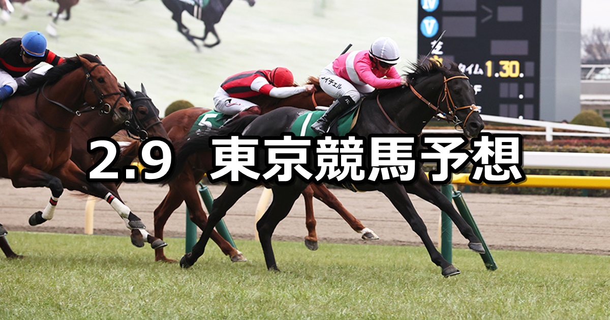 【東京新聞杯】2025/2/9(日) 中央競馬 穴馬予想（東京競馬）