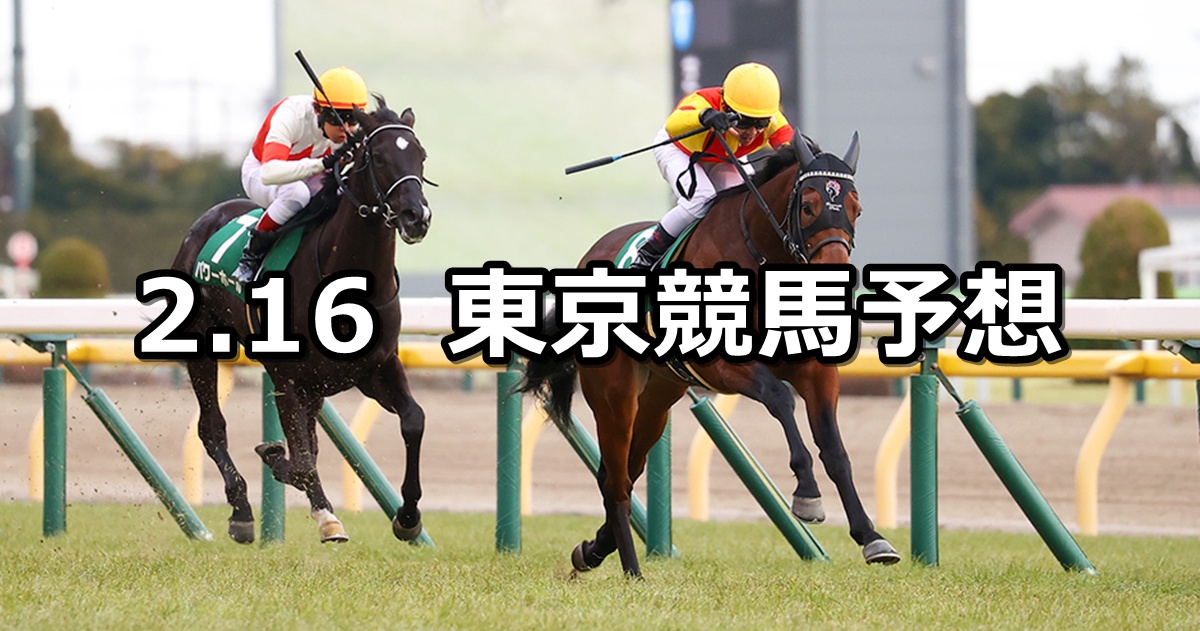 【共同通信杯】2025/2/16(日) 中央競馬 穴馬予想（東京競馬）