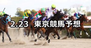 【フェブラリーステークス】2025/2/23(日) 中央競馬 穴馬予想(東京競馬)