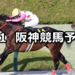 【仁川ステークス】2025/3/1(土) 中央競馬 穴馬予想(阪神競馬)