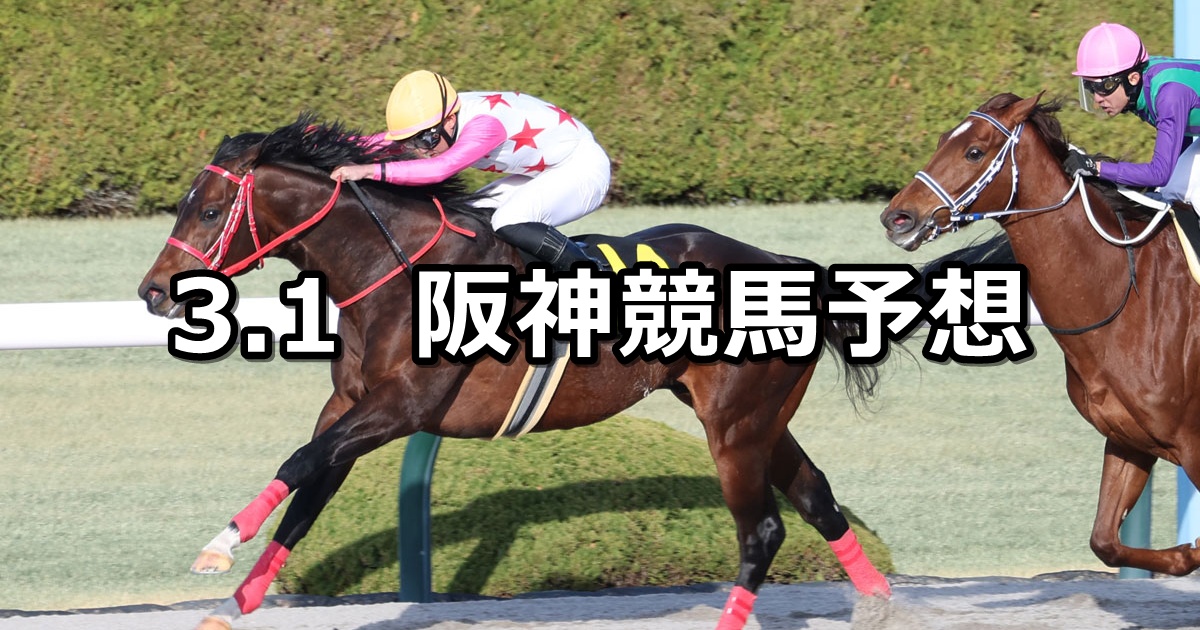 【仁川ステークス】2025/3/1(土) 中央競馬 穴馬予想（阪神競馬）