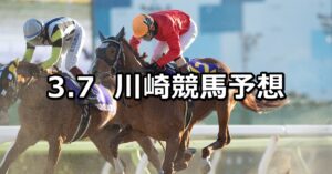 【萌え野特別】2025/3/7(金)地方競馬 穴馬予想(川崎競馬)