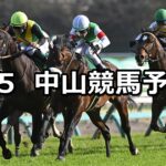 【ダービー卿チャレンジトロフィー】2025/4/5(土) 中央競馬 穴馬予想(中山競馬)