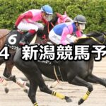 【越後ステークス】2025/5/4(日) 中央競馬 穴馬予想(新潟競馬)