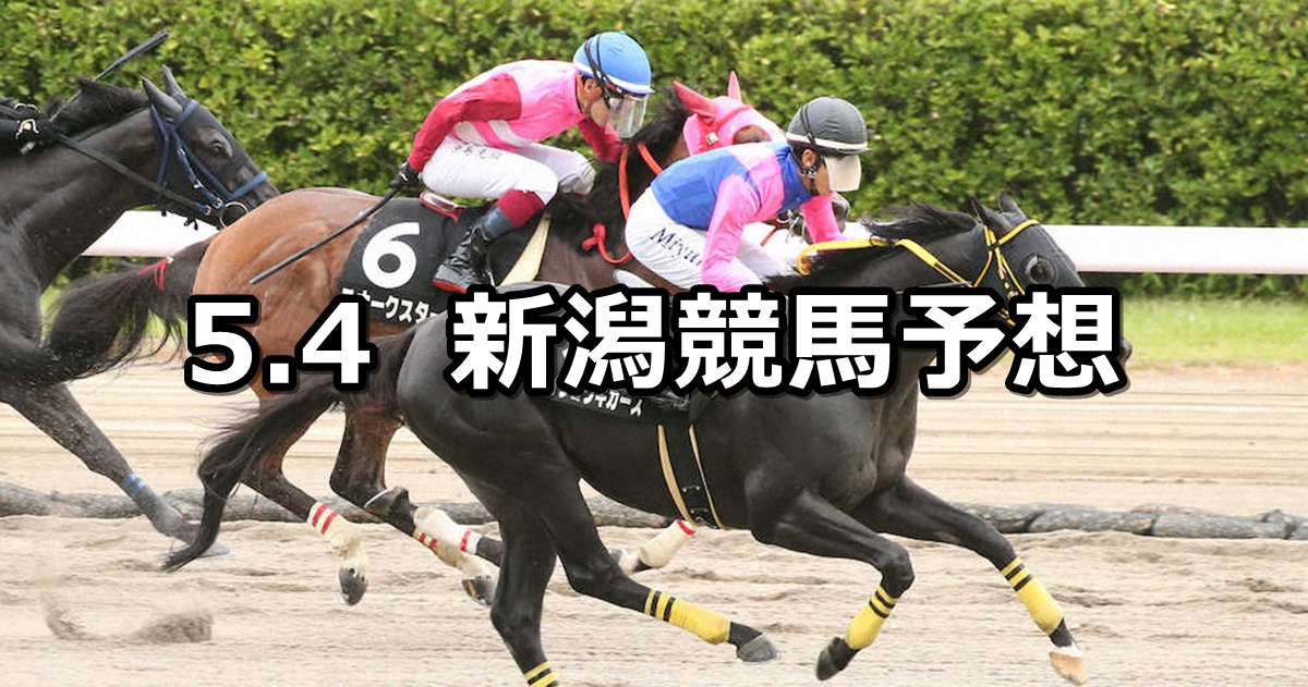 【三条ステークス】2025/5/3(土) 中央競馬 穴馬予想(新潟競馬)