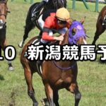 【駿風ステークス】2025/5/10(土) 中央競馬 穴馬予想(新潟競馬)
