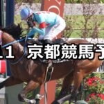 【平城京ステークス】2025/5/11(日) 中央競馬 穴馬予想(京都競馬)