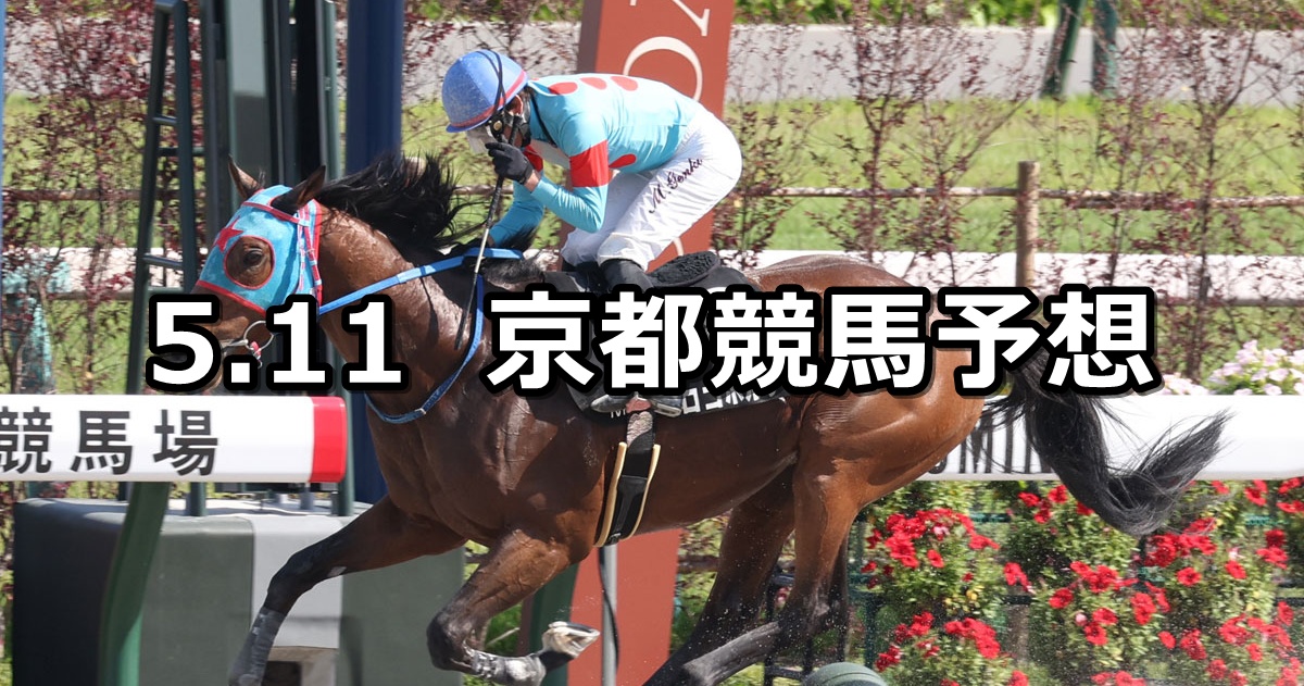【平城京ステークス】2025/5/11(日) 中央競馬 穴馬予想(京都競馬)