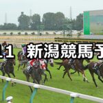 【谷川岳ステークス】2025/5/11(日) 中央競馬 穴馬予想(新潟競馬)