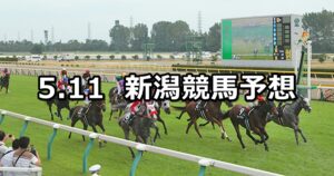 【谷川岳ステークス】2025/5/11(日) 中央競馬 穴馬予想(新潟競馬)