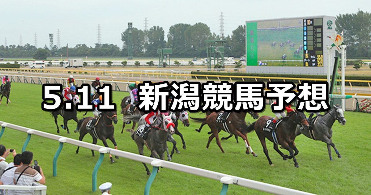 【谷川岳ステークス】2025/5/11(日) 中央競馬 穴馬予想(新潟競馬)
