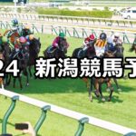 【大日岳特別】2025/5/24(土) 中央競馬 穴馬予想(新潟競馬)