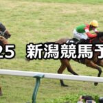 【韋駄天ステークス】2025/5/25(日) 中央競馬 穴馬予想(新潟競馬)