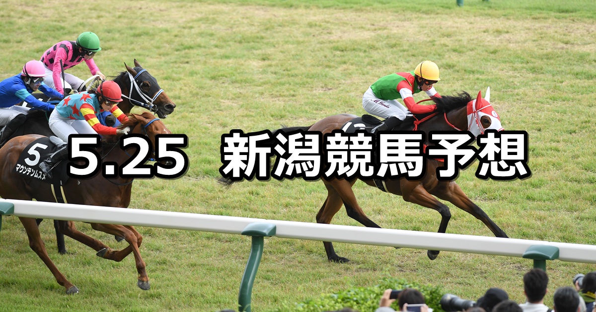 【韋駄天ステークス】2025/5/25(日) 中央競馬 穴馬予想(新潟競馬)