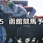 【TVh杯】2025/7/5(土) 中央競馬 穴馬予想（函館競馬）