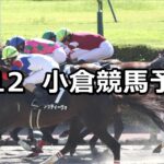 【釜山ステークス】2025/7/12(土) 中央競馬 穴馬予想（小倉競馬）