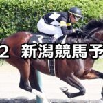 【柳都ステークス】2025/8/2(土) 中央競馬 穴馬予想(新潟競馬)