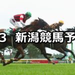 【アイビスサマーダッシュ】2025/8/3(日) 中央競馬 穴馬予想(新潟競馬)