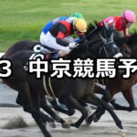 【名鉄杯】2025/8/3(日) 中央競馬 穴馬予想(中京競馬)
