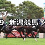 【関越ステークス】2025/8/9(土) 中央競馬 穴馬予想(新潟競馬)