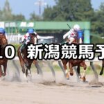 【レパードステークス】2025/8/10(日) 中央競馬 穴馬予想（新潟競馬）