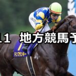【クラスターカップ/スピネル賞】2025/8/11(月)地方競馬 穴馬予想(盛岡/大井競馬)