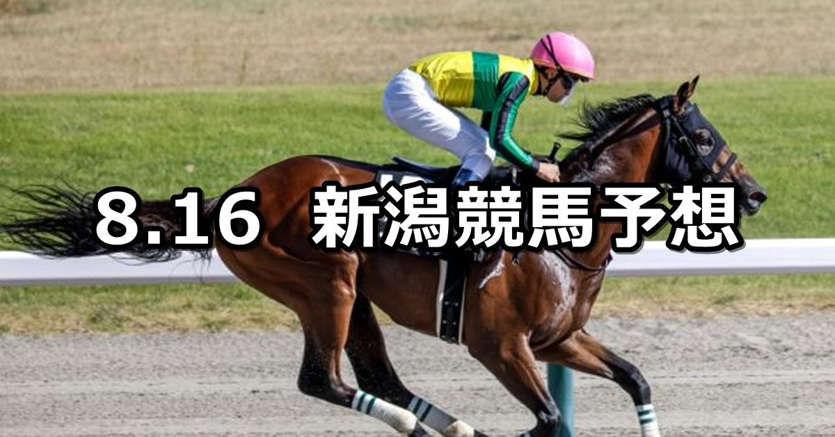 【上越ステークス】2025/8/16(土) 中央競馬 穴馬予想(新潟競馬)