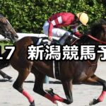 【NST賞】2025/8/17(日) 中央競馬 穴馬予想(新潟競馬)