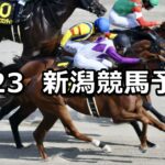 【BSN賞】2025/8/23(土) 中央競馬 穴馬予想(新潟競馬)