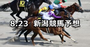 【BSN賞】2025/8/23(土) 中央競馬 穴馬予想（新潟競馬）
