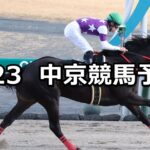 【伊賀ステークス】2025/8/23(土) 中央競馬 穴馬予想(中京競馬)