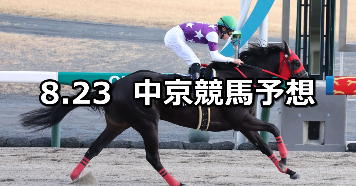 【伊賀ステークス】2025/8/23(土) 中央競馬 穴馬予想(中京競馬)
