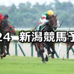【新潟2歳ステークス】2025/8/24(日) 中央競馬 穴馬予想(新潟競馬)