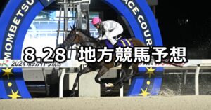 【ブリーダーズゴールドカップ/アレキサンドライトカップ】2025/8/28(木)地方競馬 穴馬予想（門別/船橋競馬）