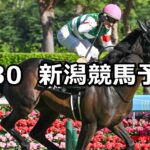 【日本海ステークス】2025/8/30(土) 中央競馬 穴馬予想(新潟競馬)