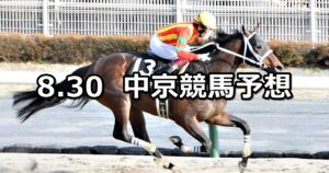 【名古屋城ステークス】2025/8/30(土) 中央競馬 穴馬予想（中京競馬）